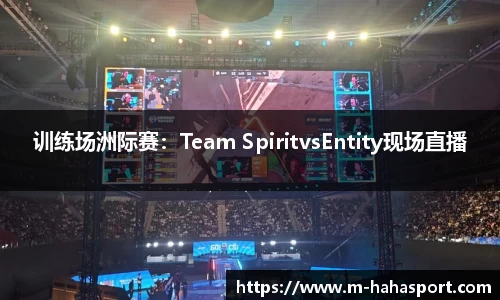 训练场洲际赛：Team SpiritvsEntity现场直播
